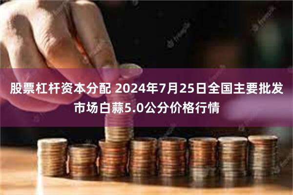 股票杠杆资本分配 2024年7月25日全国主要批发市场白蒜5.0公分价格行情