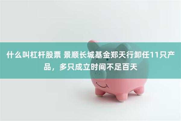 什么叫杠杆股票 景顺长城基金郑天行卸任11只产品，多只成立时间不足百天