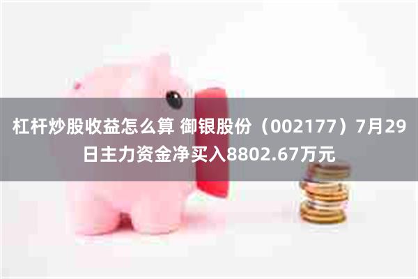 杠杆炒股收益怎么算 御银股份（002177）7月29日主力资金净买入8802.67万元