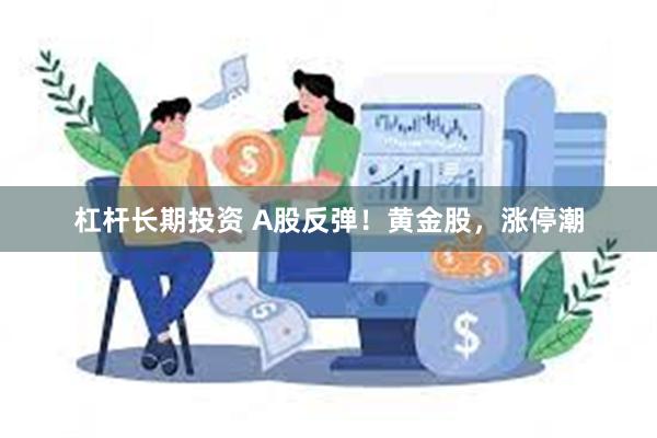 杠杆长期投资 A股反弹！黄金股，涨停潮